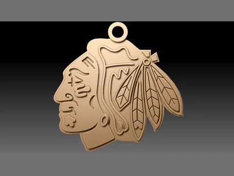 Chicago blackhawks logo shield Printable and Renderable keychan 3D Print Model