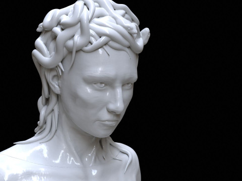 Medusa with the Head of Perseus Printable 3D Print Model