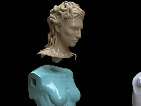 Medusa with the Head of Perseus Printable 3D Print Model