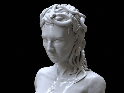 Medusa with the Head of Perseus Printable 3D Print Model