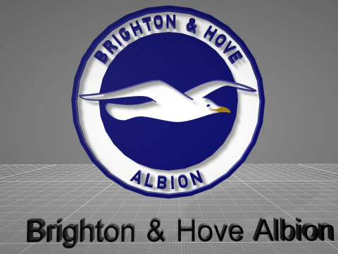 Brighton Hove Albion Keychan 3D Print Model