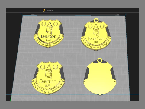 Everton FC keychain badge Printable and Renderable 3D Print Model