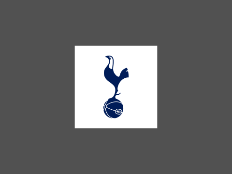 Tottenham Hotspur FC keychain Logo Printable and Renderable Model do druku 3D