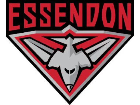 AFL Essendon keychain badge printable and renderable 3D Print Model