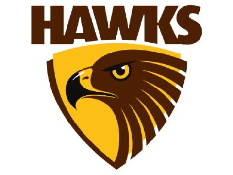 AFL Hawthorn Hawks keychain badge printable and renderable Model Cetak 3D
