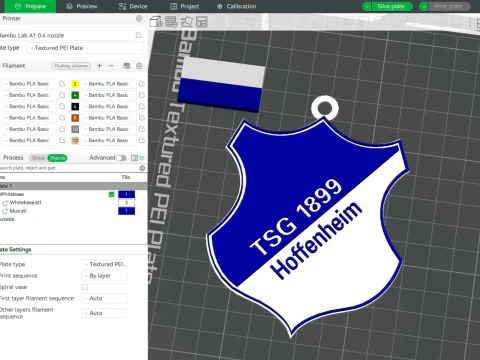 Scudo portachiavi Bundesliga Hoffenheim 1899 Modello di stampa 3D