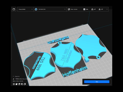 Bundesliga Hoffenheim 1899 keychain badge shield 3D Print Model