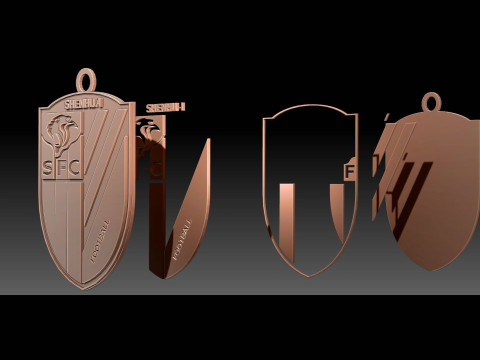 CSL Shanghai Shenhua FC Keychain Shield color printable 3D Принт Модель