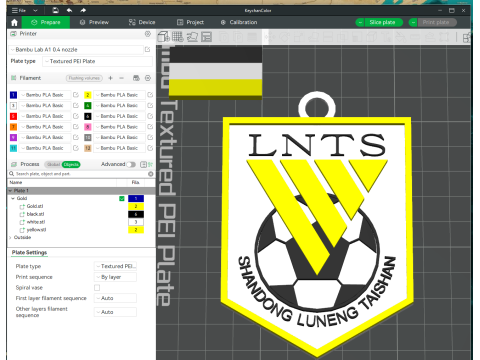 CSL Shandong Luneng Taishan FC Keychain Shield color printable 3D Print Model