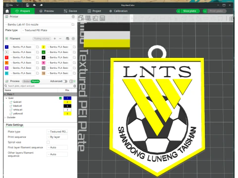 CSL Shandong Luneng Taishan FC Gantungan Kunci Perisai warna dapat dicetak Model Cetak 3D