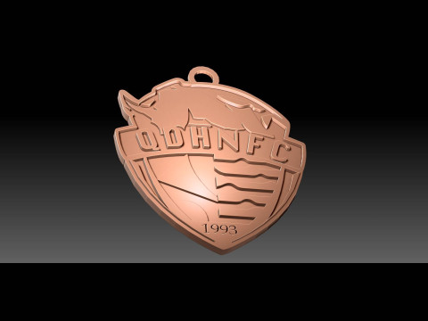 CSL Qingdao Hainiu Keychain Shield color printable 3D Print Model