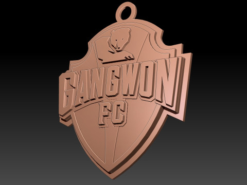 K League 1 gangwon keychain shield printable and renderable Modelo de impresión 3D
