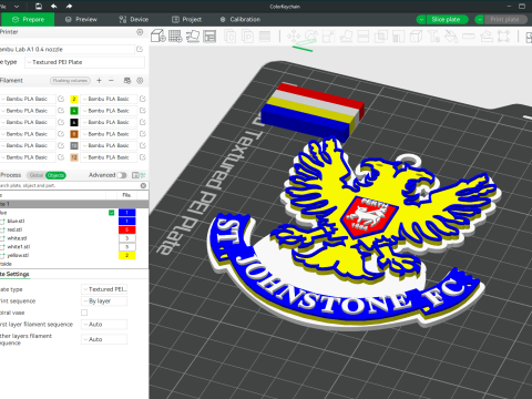 SPFL St Johnstone FC keychain badge color printable Modello di stampa 3D