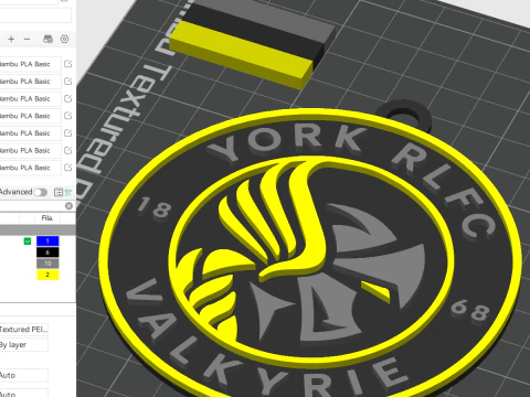 Cor do emblema do chaveiro da British Super League York Valkyrie para impressão e renderização Modelo de Impressão 3D