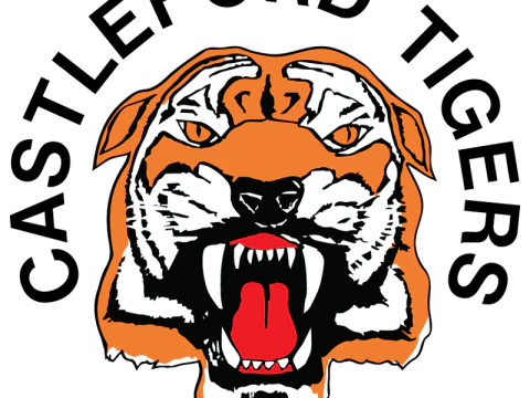 British Super League Castleford Tigers keychain badge color printable and renderable 3D Print Model