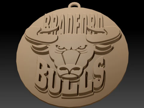 Kolorowa plakietka do kluczy Betfred Championship Bradford Bulls do wydrukowania i renderowania Model do druku 3D