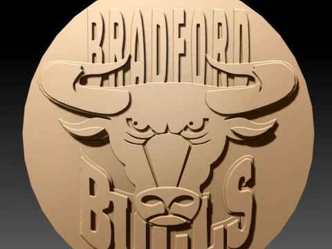 Kolorowa plakietka do kluczy Betfred Championship Bradford Bulls do wydrukowania i renderowania Model do druku 3D