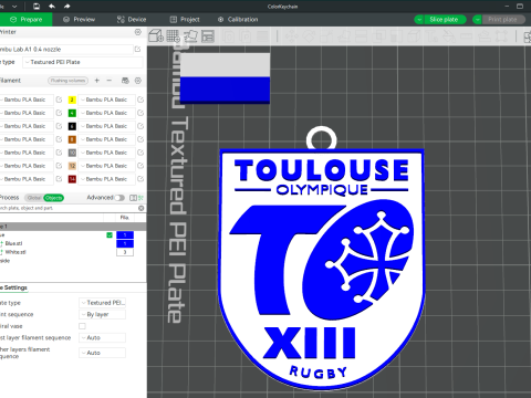 Betfred Championship Toulouse Olympique XIII keychain badge color printable and renderable 3D 프린트 모델