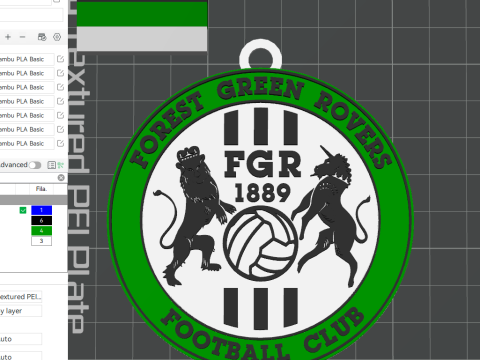 National League Forest Green Rovers keychain badge color printable and renderable Modelo de Impressão 3D