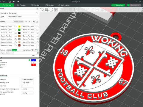 National League Woking keychain badge color printable and renderable 3D Print Model