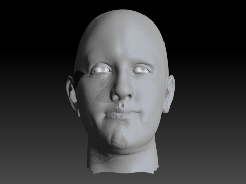 Realistic Head Hiko PBR Renderable 3D Model