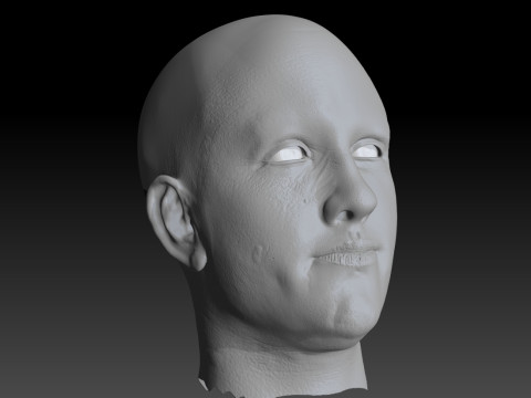 Realistic Head Hiko PBR Renderable 3D Model