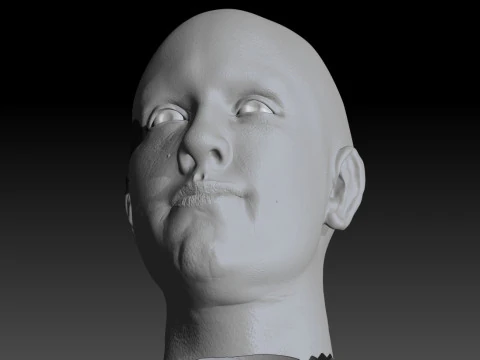 Realistic Head Hiko PBR Renderable 3D Model