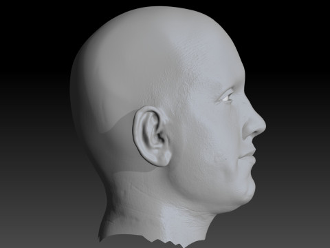 Realistic Head Hiko PBR Renderable 3D Model