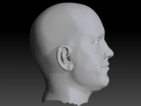 Realistic Head Hiko PBR Renderable 3D Model