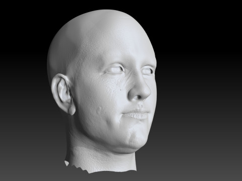 Realistic Head Hiko PBR Renderable 3D Model
