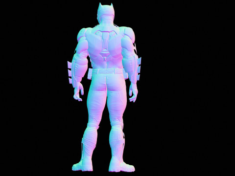 Tactical Batsuit Renderable Rigged Model 3D