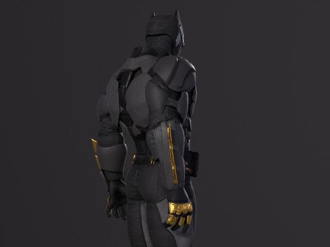 Tactical Batsuit Renderable Rigged Model 3D