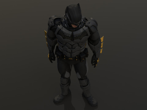 Tactical Batsuit Renderable Rigged Model 3D