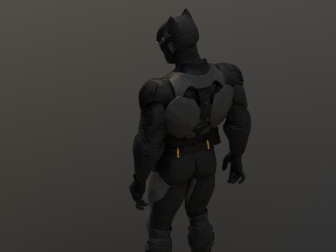 Tactical Batsuit Renderable Rigged Model 3D