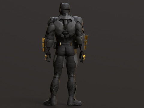Tactical Batsuit Renderable Rigged Model 3D