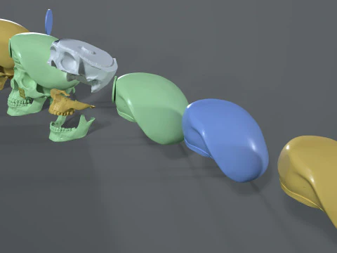 印刷およびレンダリング可能なペルー軍ベレー帽の頭蓋骨 3Dプリントモデル