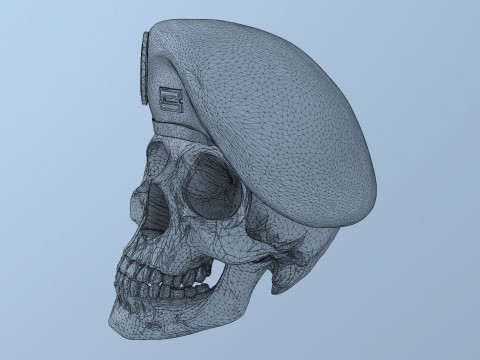 Peruvian Army Beret Skull printable and renderable 3D Принт Модель