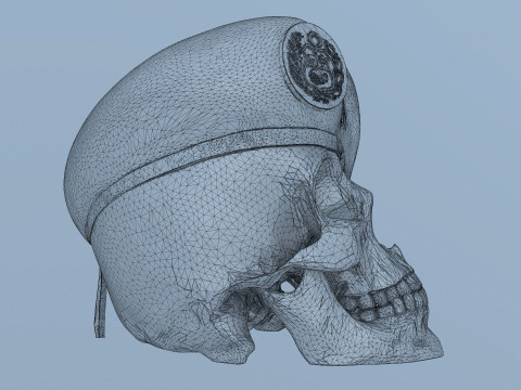 Peruvian Army Beret Skull printable and renderable 3D Принт Модель