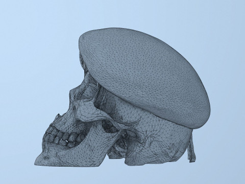 Peruvian Army Beret Skull printable and renderable 3D Принт Модель