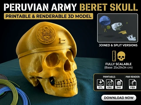Череп берета армії Перу для друку та візуалізації 3D Принт Модель