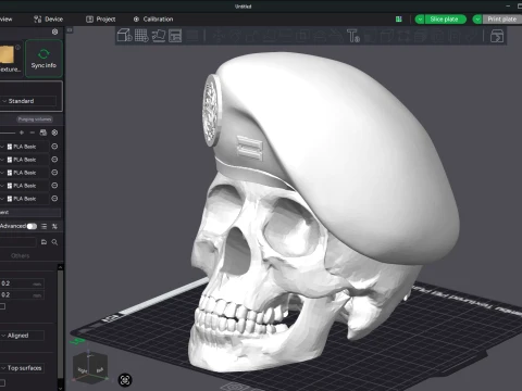 Peruvian Army Beret Skull printable and renderable 3D Print Model