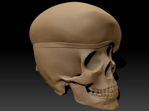 Peruvian Army Beret Skull printable and renderable 3D Print Model