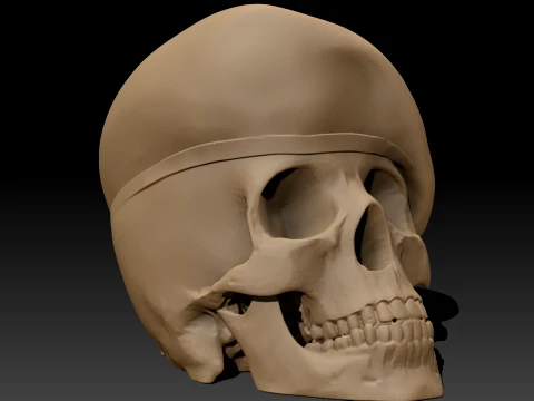 Peruvian Army Beret Skull printable and renderable 3D Print Model