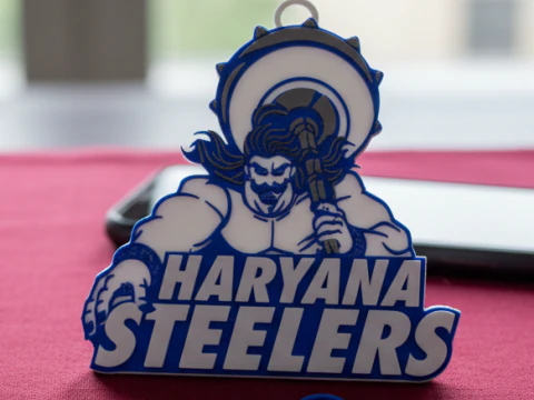 PKL Haryana Steelers Panthers-Abzeichen in Farbe zum Ausdrucken und Rendern 3D Druckmodell