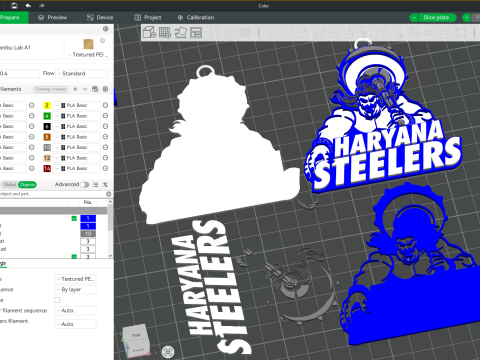 PKL Haryana Steelers Panthers badge color printable and renderable 3D Принт Модель
