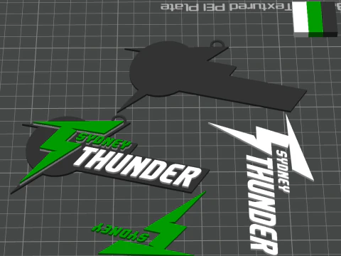 BBL Sydney Thunder badge color printable and renderable 3D Print Model