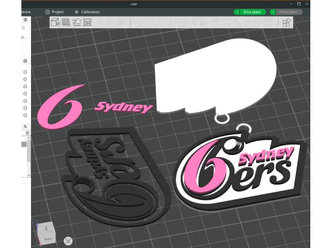 BBL Sydney Sixers badge color printable and renderable 3D Print Model