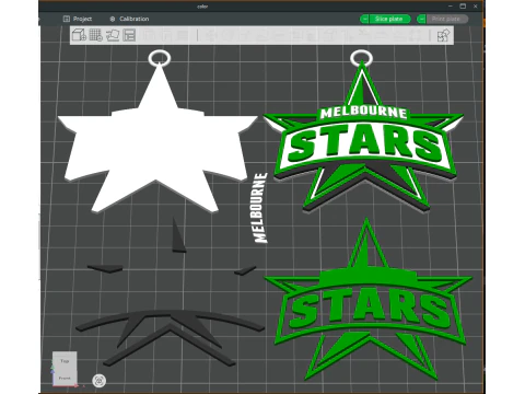 BBL Melbourne Stars badge color printable and renderable 3D Print Model