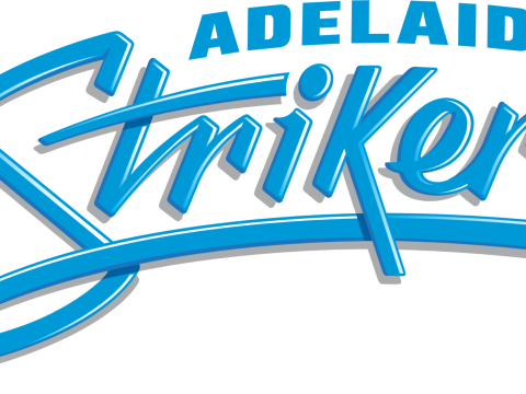 BBL Adelaid Strikers badge color printable and renderable 3Dプリントモデル