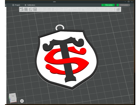 Top 14 Stade Toulousain keychain badge color printable and renderable 3D Принт Модель
